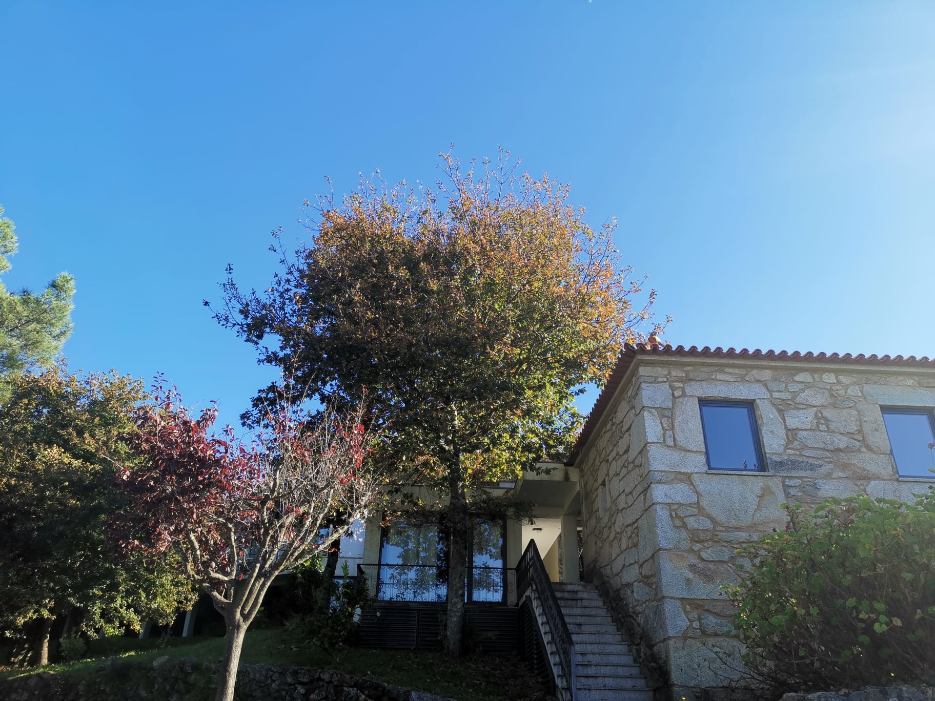 É proprietário de um alojamento? Não espere mais, solicite a nossa ajuda! O My Concierge, faz gestão de alojamentos! Tenha mais rentabilidade sem preocupações.